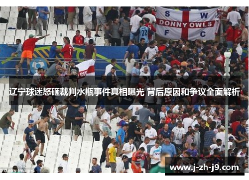 辽宁球迷怒砸裁判水瓶事件真相曝光 背后原因和争议全面解析