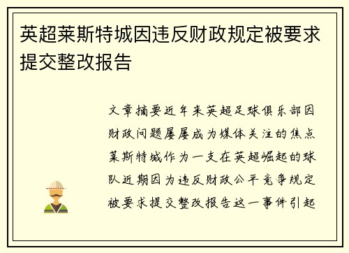 英超莱斯特城因违反财政规定被要求提交整改报告